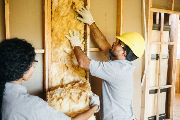 Insulation Replacement Services in Sandusky, OH