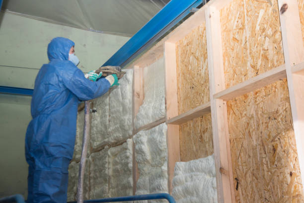 Professional Insulation Contractor in Sandusky, OH